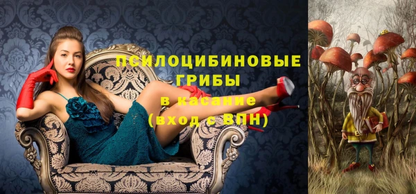 МДПВ Абдулино