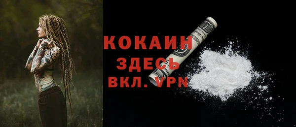 бошки Снежинск