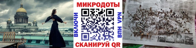 Галлюциногенные грибы Psilocybine cubensis  Емва 